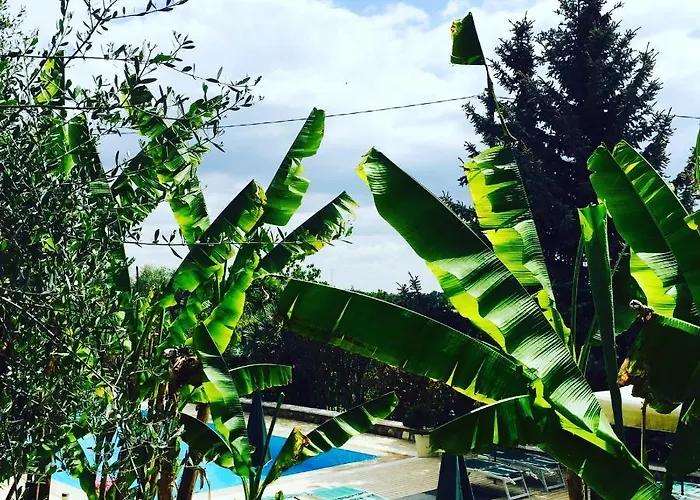 Agriturismo Corte Bozzini *